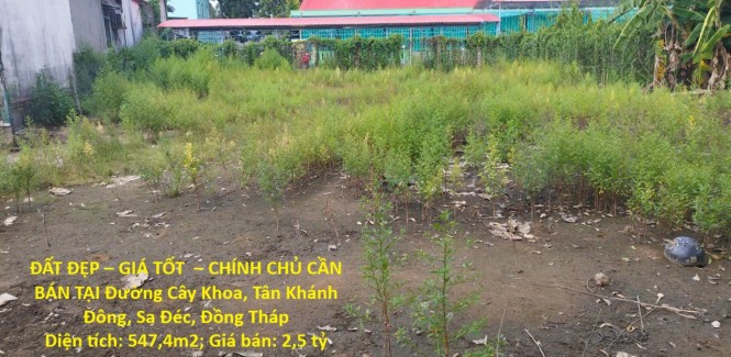ĐẤT ĐẸP – GIÁ TỐT – CHÍNH CHỦ CẦN BÁN TẠI Đường Cây Khoa, Tân Khánh Đông, Sa Đéc, Đồng Tháp