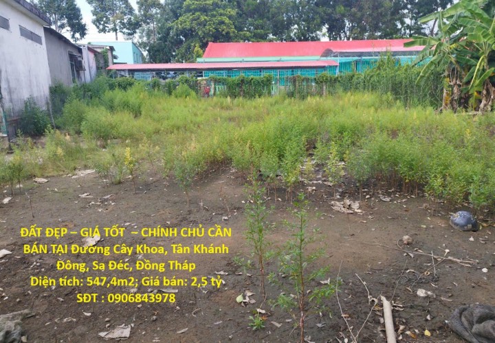 ĐẤT ĐẸP – GIÁ TỐT  – CHÍNH CHỦ CẦN BÁN TẠI Đường Cây Khoa, Tân Khánh Đông, Sa Đéc, Đồng Tháp