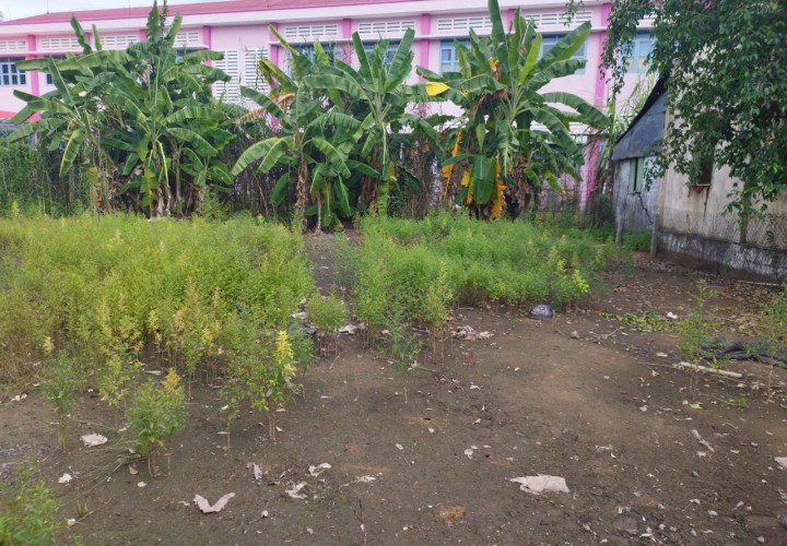 ĐẤT ĐẸP – GIÁ TỐT  – CHÍNH CHỦ CẦN BÁN TẠI Đường Cây Khoa, Tân Khánh Đông, Sa Đéc, Đồng Tháp