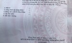 ĐẤT ĐẸP – GIÁ TỐT  – CHÍNH CHỦ CẦN BÁN TẠI Đường Cây Khoa, Tân Khánh Đông, Sa Đéc, Đồng Tháp