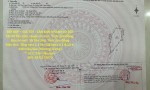 ĐẤT ĐẸP – GIÁ TỐT - CẦN BÁN NHANH LÔ ĐẤT TẠI Xã Tân Lâm, Huyện Di Linh, Tỉnh Lâm Đồng
