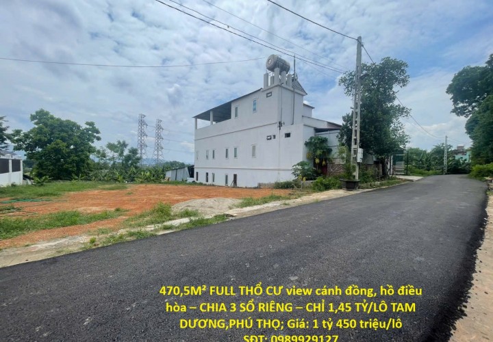 470,5M² FULL THỔ CƯ view cánh đồng, hồ điều hòa – CHIA 3 SỔ RIÊNG – CHỈ 1,45 TỶ/LÔ TAM DƯƠNG,PHÚ THỌ
