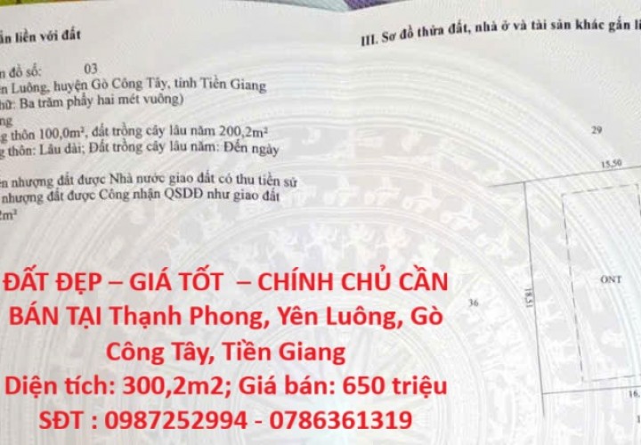 ĐẤT ĐẸP – GIÁ TỐT  – CHÍNH CHỦ CẦN BÁN TẠI Thạnh Phong, Yên Luông, Gò Công Tây, Tiền Giang