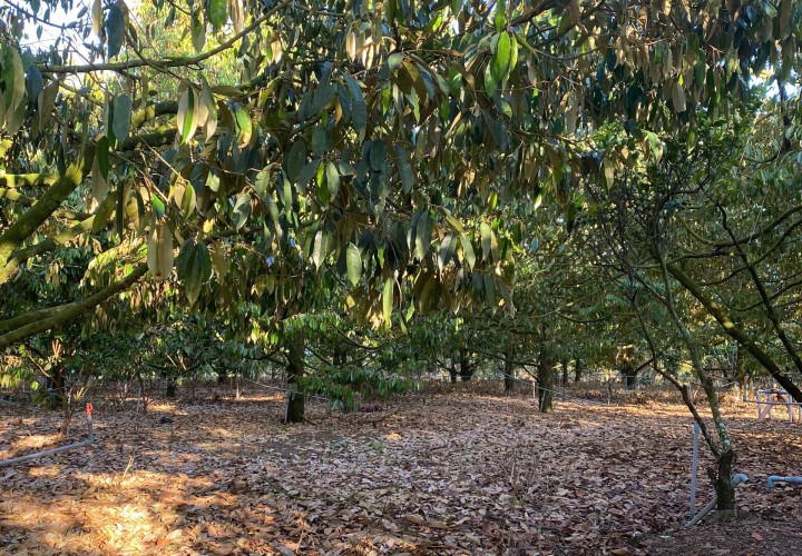 ĐẤT ĐẸP – GIÁ TỐT – CHÍNH CHỦ CẦN BÁN Nhanh Lô Đất Bảo Bình, Cẩm Mỹ, Đồng Nai