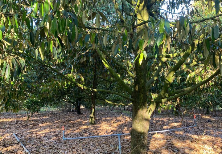 ĐẤT ĐẸP – GIÁ TỐT – CHÍNH CHỦ CẦN BÁN Nhanh Lô Đất Bảo Bình, Cẩm Mỹ, Đồng Nai