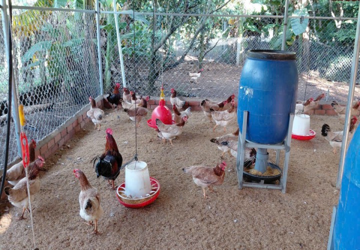 ĐẤT ĐẸP – GIÁ TỐT – CHÍNH CHỦ CẦN BÁN Nhanh Lô Đất Bảo Bình, Cẩm Mỹ, Đồng Nai