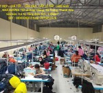 ĐẤT ĐẸP – GIÁ TỐT – CẦN BÁN. GẤP LÔ ĐẤT  LÀM NHÀ VƯỜN , NHÀ XƯỞNG TẠI xã Hoạt Giang, Hà Trung, Thanh Hóa