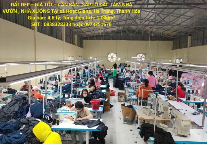 ĐẤT ĐẸP – GIÁ TỐT – CẦN BÁN. GẤP LÔ ĐẤT  LÀM NHÀ VƯỜN , NHÀ XƯỞNG TẠI xã Hoạt Giang, Hà Trung, Thanh Hóa