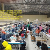 ĐẤT ĐẸP – GIÁ TỐT – BÁN GẤP LÔ ĐẤT  LÀM NHÀ VƯỜN , NHÀ XƯỞNG TẠI xã Hoạt Giang, Hà Trung, Thanh Hóa