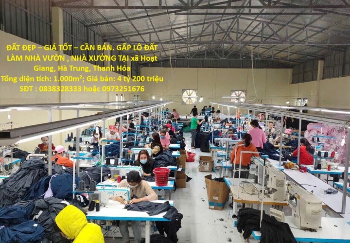 ĐẤT ĐẸP – GIÁ TỐT – BÁN GẤP LÔ ĐẤT  LÀM NHÀ VƯỜN , NHÀ XƯỞNG TẠI xã Hoạt Giang, Hà Trung, Thanh Hóa