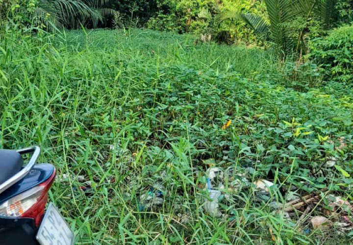 ĐẤT ĐẸP – GIÁ TỐT  – CHÍNH CHỦ CẦN BÁN Tại đường Vườn Táo, Phường 7, Quận 8, HCM