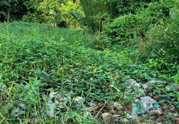 ĐẤT ĐẸP – GIÁ TỐT  – CHÍNH CHỦ CẦN BÁN Tại đường Vườn Táo, Phường 7, Quận 8, HCM