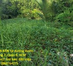 ĐẤT ĐẸP – GIÁ TỐT  – CHÍNH CHỦ CẦN BÁN Tại đường Vườn Táo, Phường 7, Quận 8, HCM
