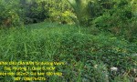 ĐẤT ĐẸP – GIÁ TỐT  – CHÍNH CHỦ CẦN BÁN Tại đường Vườn Táo, Phường 7, Quận 8, HCM