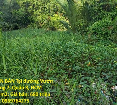 ĐẤT ĐẸP – GIÁ TỐT – CHÍNH CHỦ CẦN BÁN Tại đường Vườn Táo, Phường 7, Quận 8, HCM