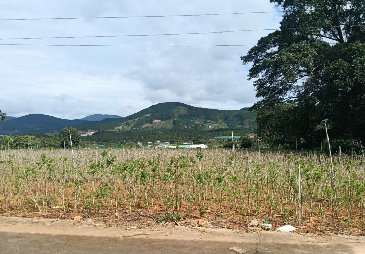 Đất Đẹp - Giá Tốt - Chính Chủ Cần Bán Lô Đất Vị Trí Đẹp Tại Xã Gia Lâm, Lâm Hà, Lâm Đồng