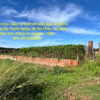 Đất Chính Chủ - Đầu Tư Sinh Lời -Cần Bán Lô Đất Vị Trí Đẹp Tại Ấp Thạnh Nghĩa, Xã Tân Châu, Tây Ninh