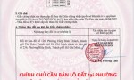 VỊ TRÍ ĐẸP – GIÁ TỐT  – CHÍNH CHỦ CẦN BÁN LÔ ĐẤT tại PHƯỜNG HIỆP BÌNH CHÁNH, THỦ ĐỨC, TPHCM