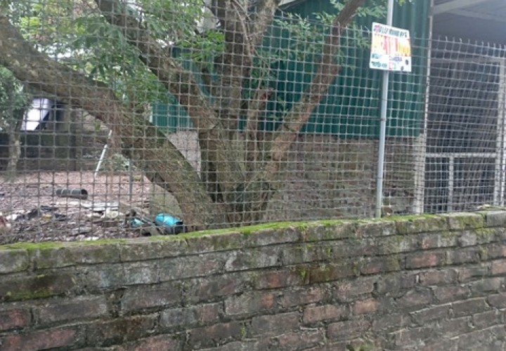 ĐẤT ĐẸP - GIÁ TỐT - Cần Bán Nhanh Lô Đất Vị Trí Đắc Địa Tại xã Đại Thành, huyện Quốc Oai, Hà Nội