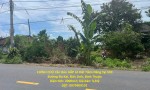 CHÍNH CHỦ Cần Bán GẤP Lô Đất Tiềm Năng Tại 530 đường Đa Kai, Đức Linh, Bình Thuận