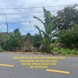 CHÍNH CHỦ Cần Bán GẤP Lô Đất Tiềm Năng Tại 530 đường Đa Kai, Đức Linh, Bình Thuận