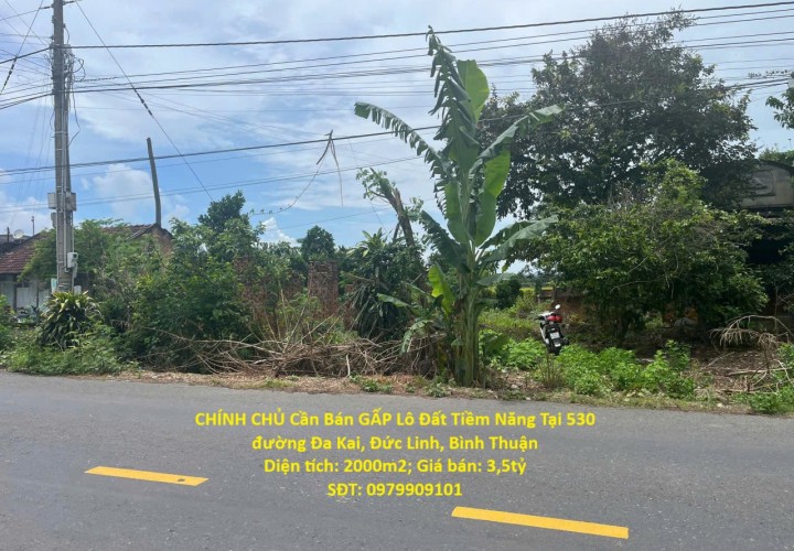 CHÍNH CHỦ Cần Bán GẤP Lô Đất Tiềm Năng Tại 530 đường Đa Kai, Đức Linh, Bình Thuận