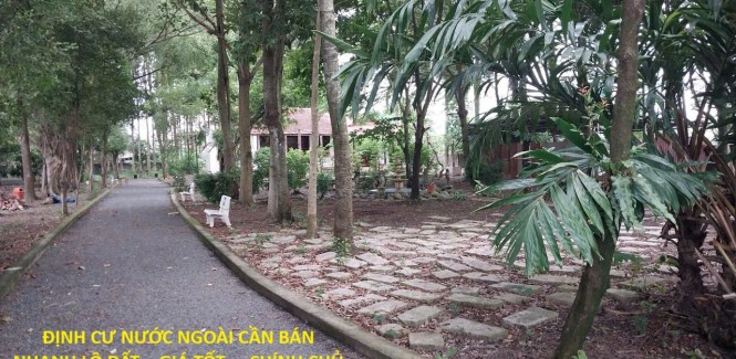ĐỊNH CƯ NƯỚC NGOÀI CẦN BÁN NHANH LÔ ĐẤT – GIÁ TỐT – CHÍNH CHỦ BÁN TẠI Xã Tân Thông Hội, Củ Chi