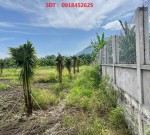 HOT HOT - CẦN BÁN 3 LÔ ĐẤT  TẠI xã hàm minh, huyện Hàm Thuận Nam, tỉnh Bình Thuận