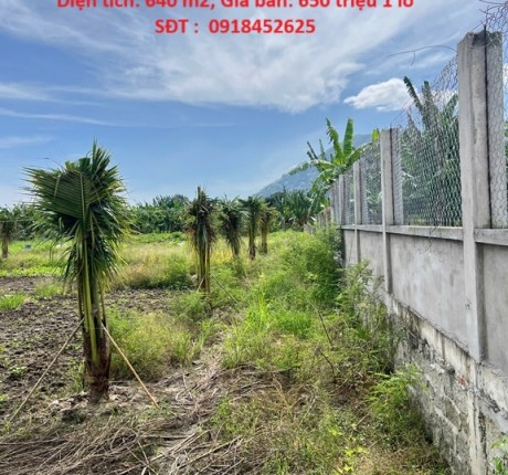 HOT HOT - CẦN BÁN 3 LÔ ĐẤT TẠI xã hàm minh, huyện Hàm Thuận Nam, tỉnh Bình Thuận