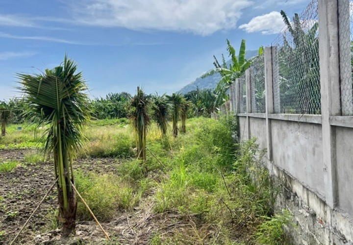 HOT HOT - CẦN BÁN 3 LÔ ĐẤT  TẠI xã hàm minh, huyện Hàm Thuận Nam, tỉnh Bình Thuận