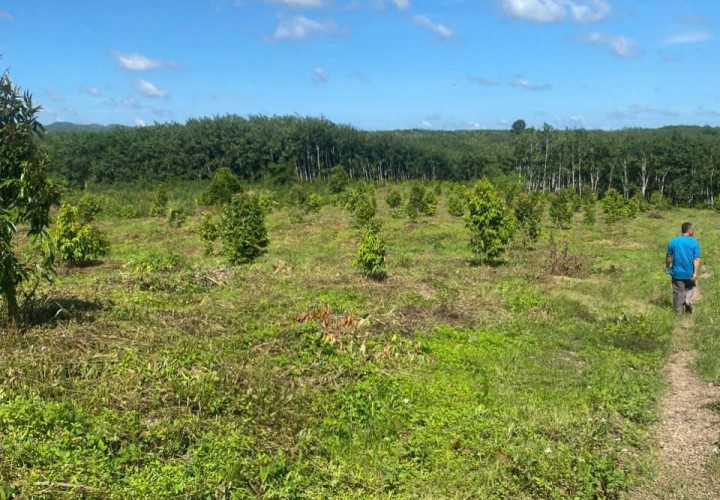 ĐẤT ĐẸP  - GIÁ ĐẦU TƯ –CHÍNH CHỦ  CẦN BÁN  LÔ ĐẤT  TẠI Xã Suối Kiết , Huyện Tánh Linh,  Bình Thuận