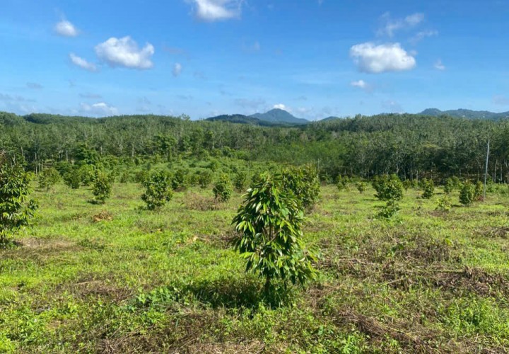 ĐẤT ĐẸP  - GIÁ ĐẦU TƯ –CHÍNH CHỦ  CẦN BÁN  LÔ ĐẤT  TẠI Xã Suối Kiết , Huyện Tánh Linh,  Bình Thuận