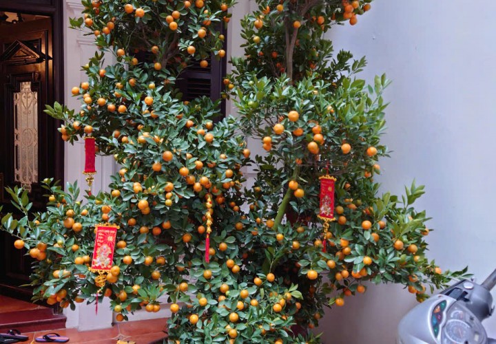 HOT NHÀ ĐẤT ĐẸP- GIÁ TỐT CẦN BÁN NHANH BIỆT THỤ SÂN VƯỜN khu phố ẩm thực Đảo Ngọc Ngũ Xá P.Trúc Bạch