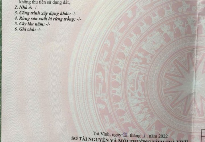 ĐẤT VƯỜN DỪA – GIÁ TỐT  – CHÍNH CHỦ CẦN BÁN Tại Tân Trung Giồng A, Hiếu Trung, Tiểu Cần, Trà Vinh