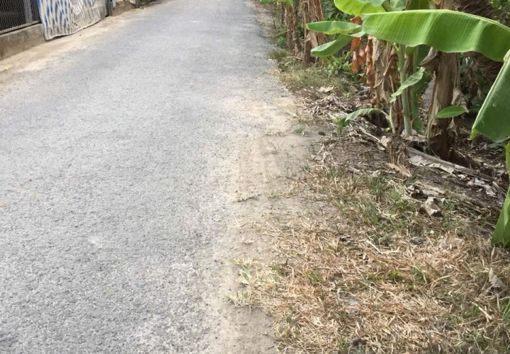 ĐẤT VƯỜN DỪA – GIÁ TỐT  – CHÍNH CHỦ CẦN BÁN Tại Tân Trung Giồng A, Hiếu Trung, Tiểu Cần, Trà Vinh