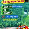 ĐẤT ĐẸP – GIÁ TỐT – CẦN BÁN 52.918 M² Mẫu Long Nguyên, Xã Long Nguyên, Huyện Bàu Bàng, Bình Dương