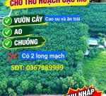 ĐẤT ĐẸP – GIÁ TỐT – CẦN BÁN 52.918 M² Mẫu Long Nguyên, Xã Long Nguyên, Huyện Bàu Bàng, Bình Dương
