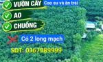 ĐẤT ĐẸP – GIÁ TỐT – CẦN BÁN 52.918 M² Mẫu Long Nguyên, Xã Long Nguyên, Huyện Bàu Bàng, Bình Dương