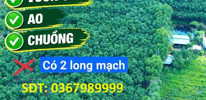 ĐẤT ĐẸP – GIÁ TỐT – CẦN BÁN 52.918 M² Mẫu Long Nguyên, Xã Long Nguyên, Huyện Bàu Bàng, Bình Dương