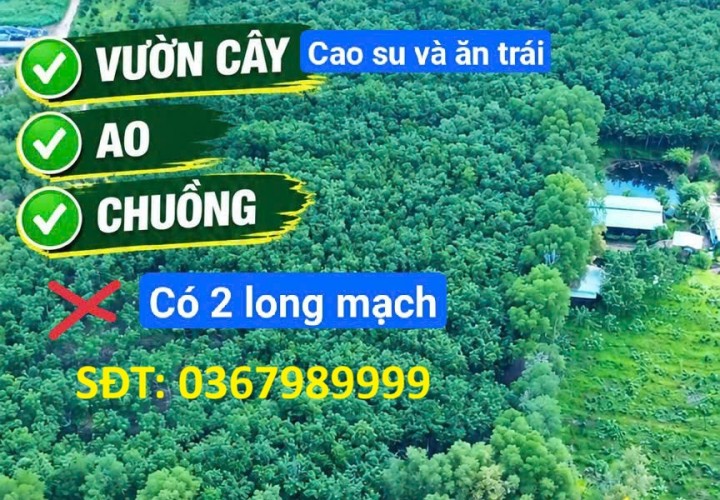 ĐẤT ĐẸP – GIÁ TỐT – CẦN BÁN 52.918 M² Mẫu Long Nguyên, Xã Long Nguyên, Huyện Bàu Bàng, Bình Dương