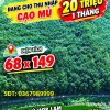 ĐẤT ĐẸP – GIÁ TỐT - CẦN BÁN GẤP CẶP ĐẤT SÀO LIỀN KỀ CẠNH KCN BÀU BÀNG MỞ RỘNG, Xã Long Nguyên, Huyện Bàu Bàng, Bình Dương
