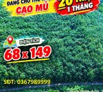 ĐẤT ĐẸP – GIÁ TỐT - CẦN BÁN GẤP CẶP ĐẤT SÀO LIỀN KỀ CẠNH KCN BÀU BÀNG MỞ RỘNG, Xã Long Nguyên, Huyện Bàu Bàng, Bình Dương
