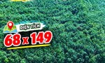 ĐẤT ĐẸP – GIÁ TỐT - CẦN BÁN GẤP CẶP ĐẤT SÀO LIỀN KỀ CẠNH KCN BÀU BÀNG MỞ RỘNG, Xã Long Nguyên, Huyện Bàu Bàng, Bình Dương