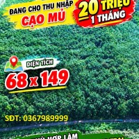 ĐẤT ĐẸP – GIÁ TỐT - CẦN BÁN GẤP CẶP ĐẤT SÀO LIỀN KỀ CẠNH KCN BÀU BÀNG MỞ RỘNG, Xã Long Nguyên, Huyện Bàu Bàng, Bình Dương