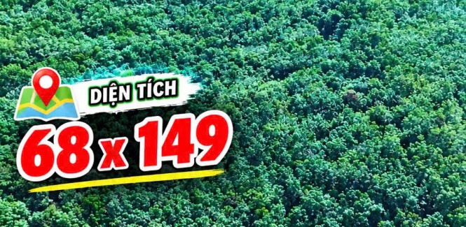 ĐẤT ĐẸP – GIÁ TỐT - CẦN BÁN GẤP CẶP ĐẤT SÀO LIỀN KỀ CẠNH KCN BÀU BÀNG MỞ RỘNG, Xã Long Nguyên, Huyện Bàu Bàng, Bình Dương