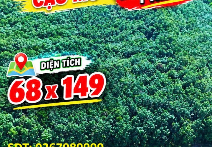 ĐẤT ĐẸP – GIÁ TỐT - CẦN BÁN GẤP CẶP ĐẤT SÀO LIỀN KỀ CẠNH KCN BÀU BÀNG MỞ RỘNG, Xã Long Nguyên, Huyện Bàu Bàng, Bình Dương