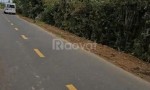 QUỸ ĐẤT HIẾM – CẦN BÁN ĐẤT 9.463M², 100M MẶT TIỀN Đ.ĐINH CÔNG TRÁNG, Đại Lào Cũ, TP.Bảo Lộc, T.Lâm Đồng