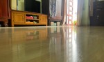 NHÀ ĐẸP – GIÁ TỐT – CHÍNH CHỦ CẦN BÁN Tại Phường 16, Gò Vấp.LIÊN HỆ: 0878 833 265