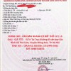 CHÍNH CHỦ - CẦN BÁN NHANH LÔ ĐẤT THỔ CƯ ( Lô Góc) - GIÁ TỐT -  Vị Trí Tại Xã Thư Lâm, Đông Anh, Hà Nội