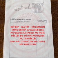 ĐẤT ĐẸP – GIÁ TỐT – CẦN BÁN ĐẤT NÔNG NGHIỆP Đường 31B QL14, Phường Tân An,TP.Buôn Ma Thuột, Đắk Lắk